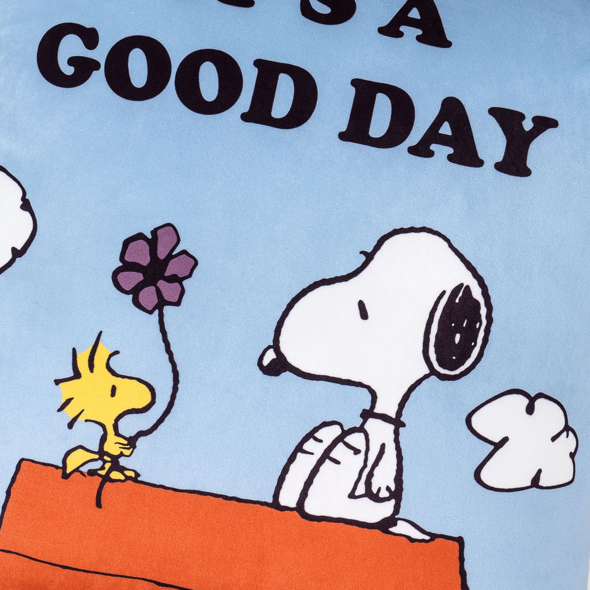 Snoopy Dekokissen / Sofa Kissenbezug 47 x 47cm - Schöner Tag - Image 4