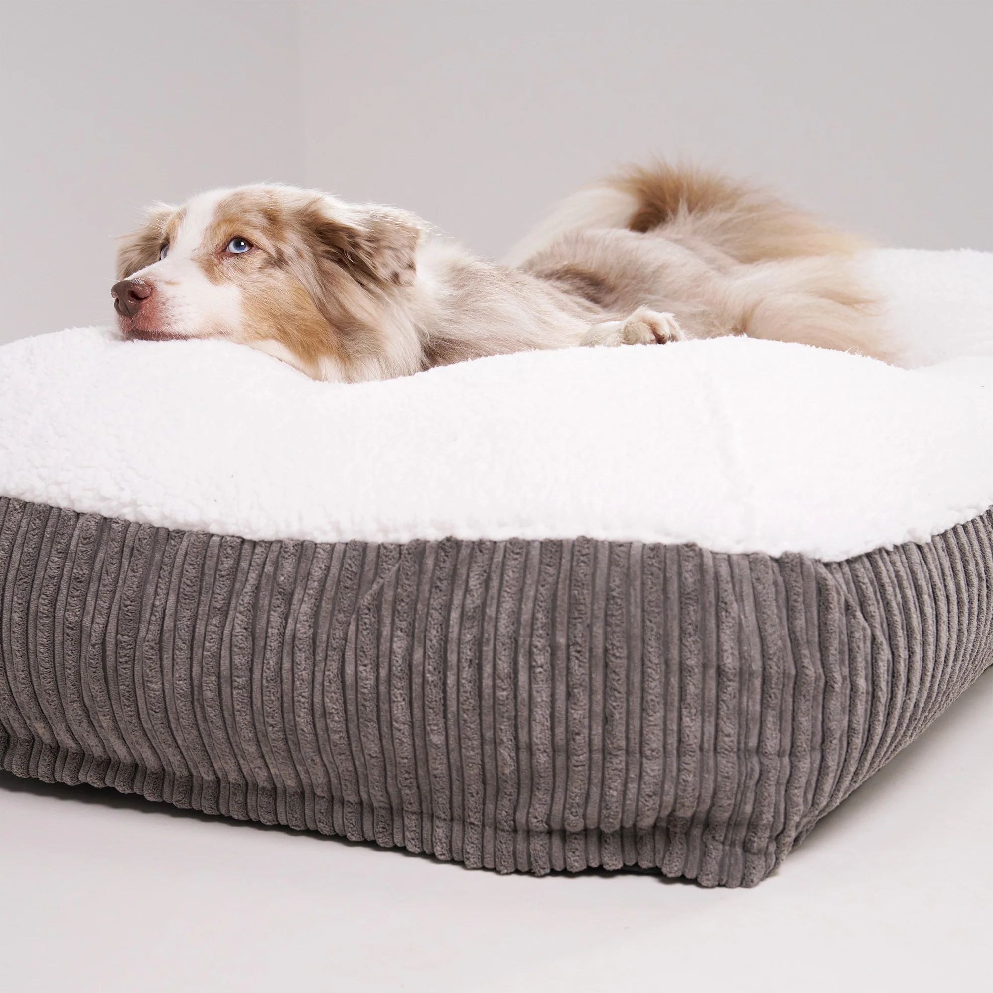 XXL Slouchy Hundebett - Sherpa & Cord Graphitgrau - Image 5