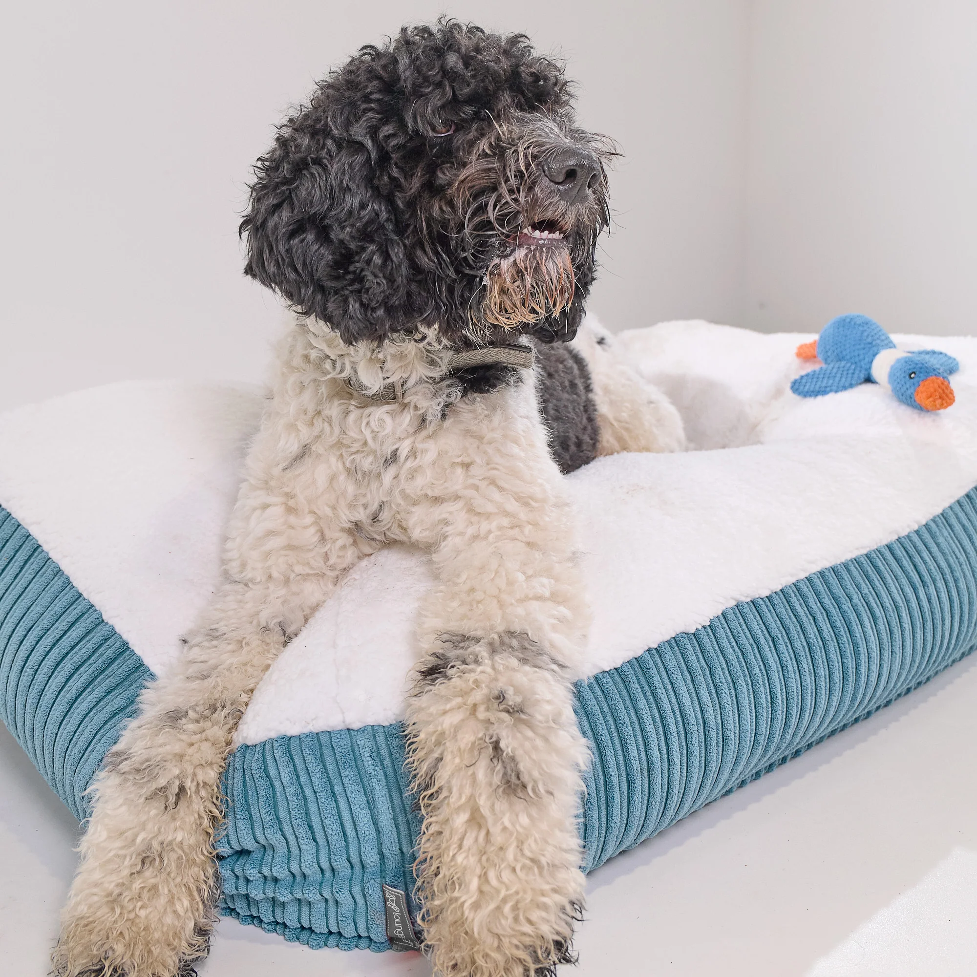 XXL Slouchy Hundebett - Sherpa & Cord Türkis - Image 6